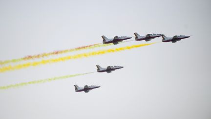 Des avions militaires birmans&nbsp;lors du 69e anniversaire de l'armée, à&nbsp;Naypyidaw (Birmanie), le 27 mars 2014. (YE AUNG THU / AFP)