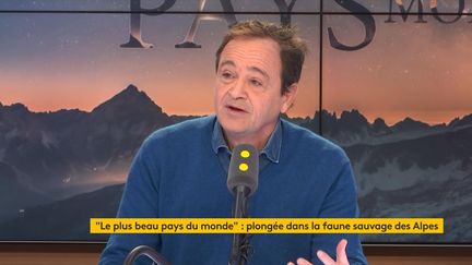 Pour le&nbsp;réalisateur et producteur Frédéric Fougea, les Alpes sont une zone "sanctuaire" où plusieurs espèces ont réapparu. (FRANCEINFO / RADIOFRANCE)