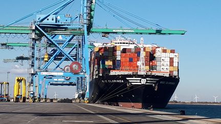 Le MSC Clorinda, long de 366 mètres, à quai dans le port de Marseille-Fos. (SOPHIE AUVIGNE / RADIO FRANCE)