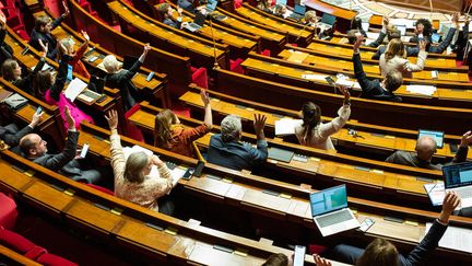 Un vote à main levée, à l'Assemblée nationale, le 16 janvier 2023. (GAUTHIER BEDRIGNANS / HANS LUCAS / AFP)