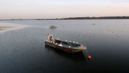Loire-Atlantique : le lac de Grand-Lieu, un site préservé