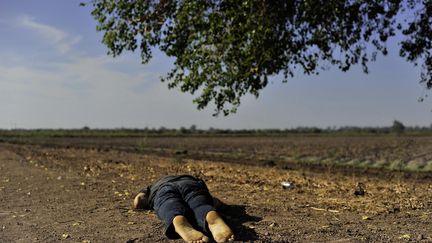 Fernando Brito, né à Mexico en 1975, a obtenu le prix Découvertes de PhotoEspaña 2011 avec ce portfolio, constitué de photos de cadavres et de scènes de crimes qui traduisent le climat de violence au Mexique. Les corps se trouvent dans des paysages bucoliques de l’Etat de Sinaloa. Brito envisage le corps mort comme un signe de décomposition sociale. Série Tus pasos se perdieron con el paisaje, 2011
 (Fernando Brito)