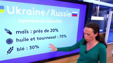 Guerre en Ukraine : vers une crise alimentaire mondiale ?