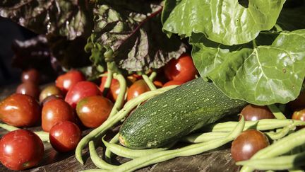 Des légumes issus d'un jardin potager bio, le 24 juillet 2018. (LODI FRANCK / SIPA)