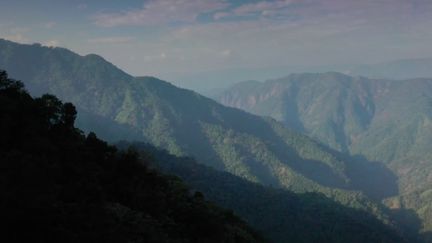 Les montagnes indiennes du Meghalaya, qui signifie littéralement la "Demeure des nuages", cachent une rivière aux eaux transparentes, protégée par une tribu autochtone qui vénère la nature. (France 2)