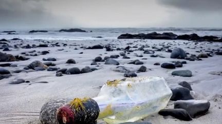 Finistère : les bouteilles à la mer d'un pêcheur canadien retrouvées sur des plages