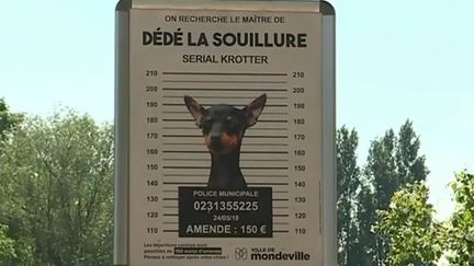 Affichages contre les incivilités, déjections canines, Calvados. (FRANCE 3)