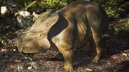 Une reconstitution d'un protocératops au zoo préhistorique de l'Aven Marzal,&nbsp;à Saint-Remèze (Ardèche), le 19 février 2007. (LEEMAGE / AFP)