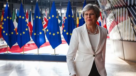 La Première ministre britannique Theresa May est fragilisée après avoir&nbsp;perdu la majorité absolue lors des dernières élections législatives.&nbsp; (AURORE BELOT / AFP)