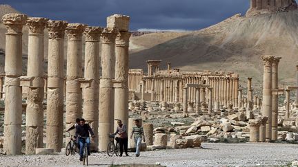 Une vue de la cit&eacute; antique de Palmyre (Syrie), le 14 mars 2014.&nbsp; (JOSEPH EID / AFP)