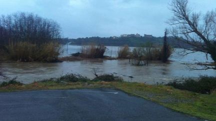 &nbsp; (Le Tavignano est sorti de son lit comme beaucoup de rivières corses © France Bleu RCFM)