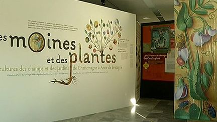 Exposition à Landevennec sur les moines et les plantes
 (France3/Culturebox)