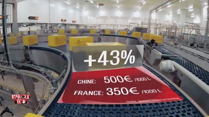 VIDEO. "L'Angle éco". La vache normande préfère les Chinois aux Français