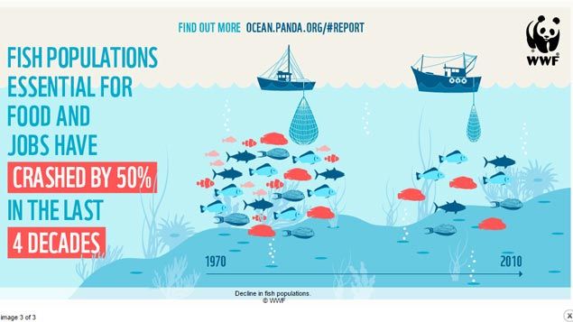 &nbsp; (La chute des populations de poissons en 40 ans © WWF)