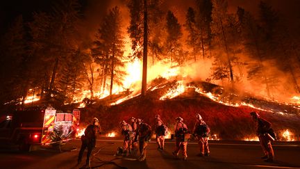 Des pompiers luttent contre l'incendie en Californie (Etats-Unis), le 31 juillet 2018. (MARK RALSTON / AFP)