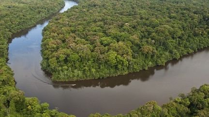 Le fleuve Essequibo au Guyana. (Biosphoto / Minden Pictures / Pete Oxford)