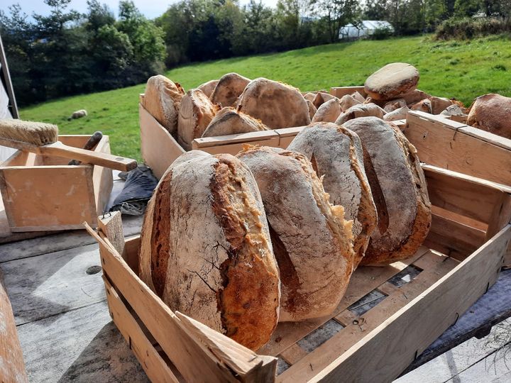 Le pain produit par les habitants de l'écolieu "GrainetSens" à Boffres, en Ardèche. (FARIDA NOUAR / RADIO FRANCE)