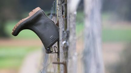 Des bottes de pluie (photo d'illustration), le 14 octobre 2023. (THOMAS WARNACK / DPA)