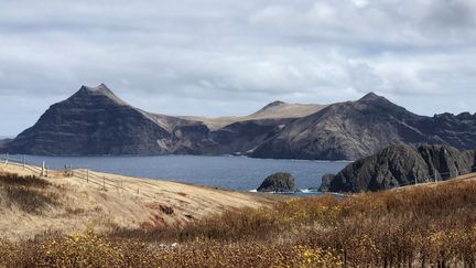 L'île Robinson Crusoé (Chili), le 30 janvier 2019. (ANA FERNANDEZ / AFP)