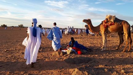 Une course de chameaux dans un village touareg de Mauritanie, en novembre 2018. (CLAUDE GUIBAL / FRANCE-INFO)