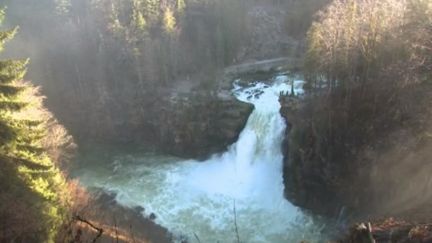 Après plusieurs semaines de pluie, en Franche-Comté, le Doubs est sorti de son lit et a gonflé les chutes d'eau de la région, notamment la cascade du Saut du Doubs. (FRANCE 3)