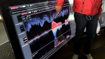 Les signaux acoustiques sous-marins, une mine d'or pour améliorer nos moyens de communication. (FRED TANNEAU / AFP)