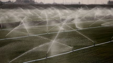 est l’une des causes principales de la pénurie d’eau dans certains pays où plus de 40 à 80% des ressources en eau sont utilisées à des fins agricoles. Mais ce qui pose problème n’est pas la quantité d’eau douce disponible sur la planète (celle-ci ne bouge pas), mais sa gestion.
 
 
 (Justin Sullivan/Getty Images/AFP)