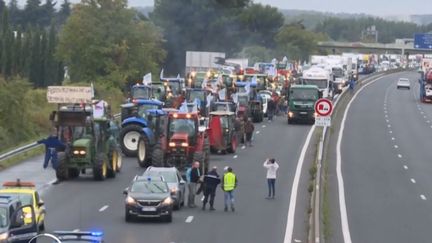 Manifestations agriculteurs (France 2)