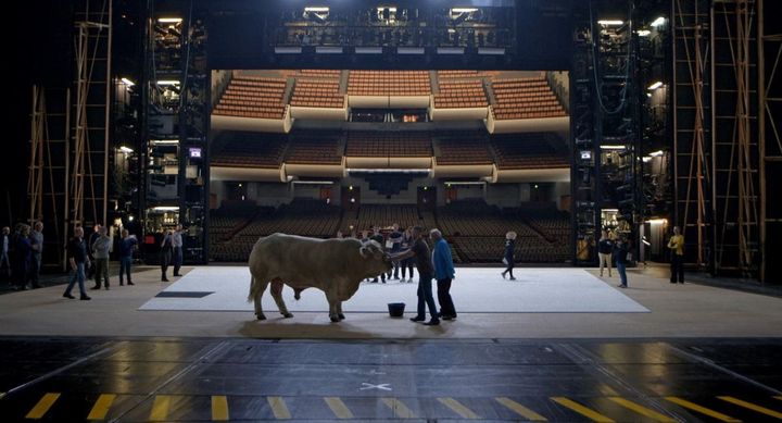 Un taureau sur la scène de l'Opéra de Paris, dans la production de "Moïse et Aaron". Image tirée du film "L'Opéra" de Jean-Stéphane Bron.&nbsp; (FRENETIC FILMS)