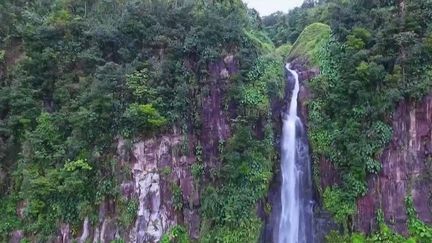 Guadeloupe : dans les pas des chercheurs de cascades