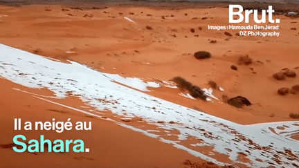 brut : neige sahara