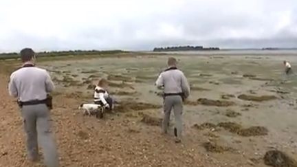 Immersion : la police de l'environnement dans le golfe du Morbihan