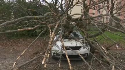 La région Auvergne-Rhône-Alpes a été particulièrement touchée par des vents violents vendredi 20 décembre. Enedis a enregistré jusqu'à 140 000 foyers privés d'électricité. (FRANCE 2)