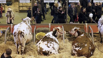 Les visiteurs du Salon de l'agriculture photographient des vaches, le 21 f&eacute;vrier 2015 &agrave; Paris.&nbsp; (PATRICK KOVARIK / AFP)