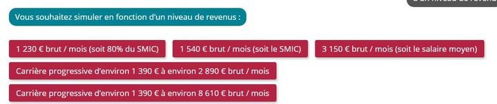 Les cinq exemples de revenus proposés par le simulateur pour un salarié du régime général. (INFO RETRAITE)