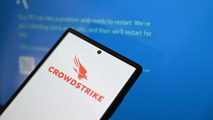 Des perturbations informatiques mondiales sont en cours vendredi 19 juillet, à la suite d'une panne liée à l'antivirus CrowdStrike. (HARUN OZALP / ANADOLU / AFP)