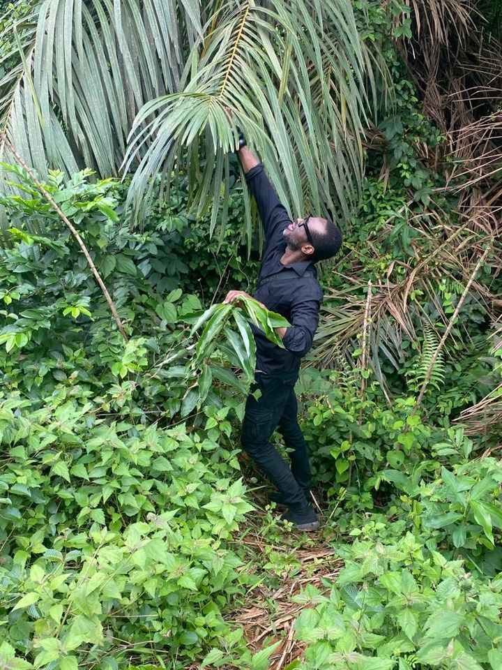 Le couturier Imane Ayissi dans le village Mnom Ayoss au Cameroun : il utilise l'arbre du raphia pour ses créations haute couture, 2023 (Courtesy of Imane Ayissi)