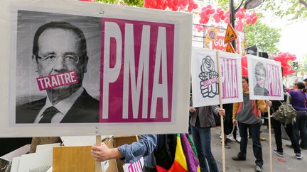 Des manifestants dénoncent la promesse non respectée de François Hollande d'ouvrir la PMA aux couples de femmes, à Paris, le 28 juin 2014.&nbsp; (MICHEL STOUPAK / CITIZENSIDE / AFP)