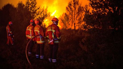 &nbsp; (La forêt de Chateauneuf-les-Martigues, dans les Bouches-du-Rhône a brûlé sur plus de 150 hectares dans la nuit du 13 au 14 juillet © SIPA / LILIAN AUFFRET)