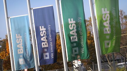 L’industriel allemand BASF aurait allégé sa facture fiscale de près d’un milliard d’euros entre 2010 et 2014.&nbsp; (DANIEL ROLAND / AFP)