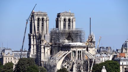 Notre-Dame de Paris : la contamination au plomb fait reporter les travaux