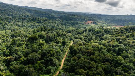 Vue aérienne du camp de la "Montagne d'Or", en Guyane, à 181 kilomètres à l'ouest de Cayenne. (JODY AMIET / AFP)