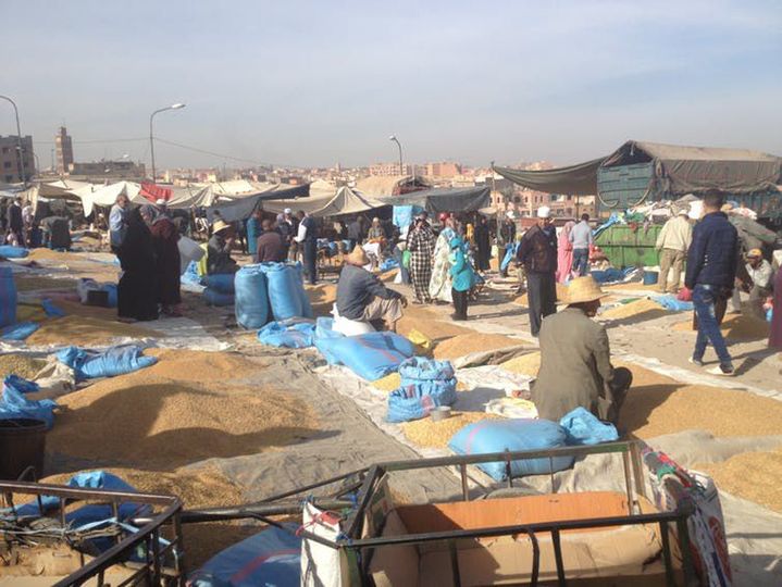 Marché aux céréales hebdomadaire à Beni Mellal.  (Katharina Graf, Author provided)