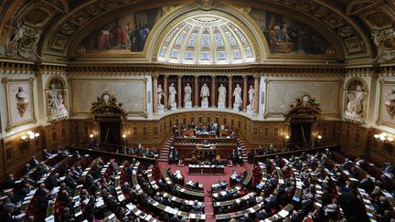 L'hémicycle du Sénat, le 28 octobre 2014 à Paris. (FRANCOIS GUILLOT / AFP)