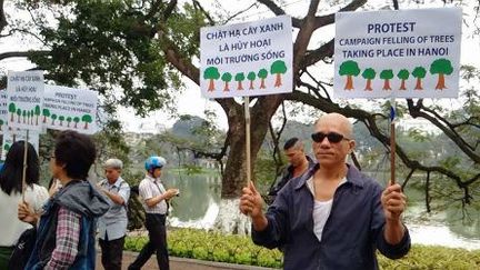 A Hanoï, des manifestants se sont opposés au projet de la mairie d'abattre des milliers d'arbres au coeur de la ville. (Nguyễn Sơn/ VnExpress)