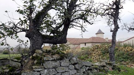 Le village de Labry, en Meurthe-et-Moselle, dont le cimeti&egrave;re a &eacute;t&eacute; profan&eacute; dans la nuit du 2 au 3 ao&ucirc;t 2015.&nbsp; (MAXPPP)