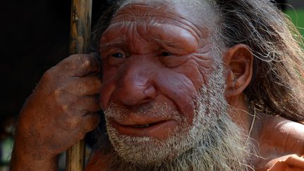 Reconstitution d'un homme de Neandertal, en Allemagne, le 23 août 2013. (HORST OSSINGER / DPA / AFP)