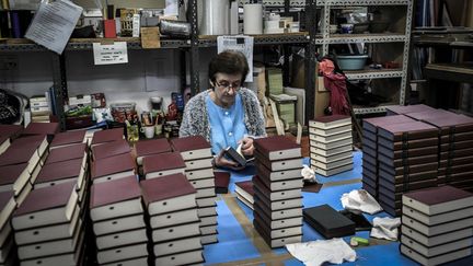 La Bibliothèque de la Pléiade existe depuis 1931. (STEPHANE DE SAKUTIN / AFP)