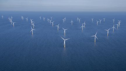 Des éoliennes en mer Baltique, au nord de l'île de Rugen (Allemagne), le 16 juin 2022.&nbsp; (FRED TANNEAU / AFP)