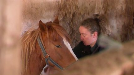 Agriculture : les campagnes manquent de vétérinaires